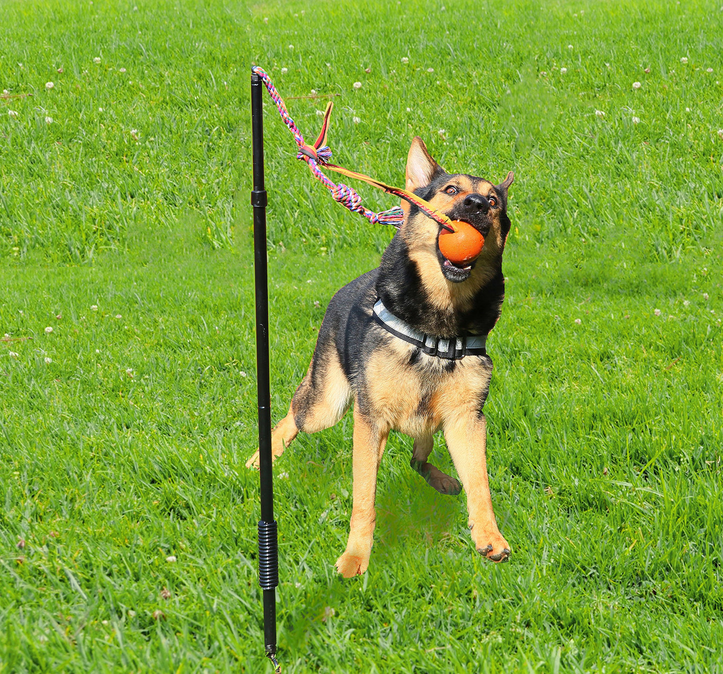 Highland Farms Select Dog Retractable Interactive Training Tug Toy - Pet Obedience Training Tug - Stable Exercise Metal Pole & Spring Rod with Replaceable Chew Rope for Small/Medium Dogs