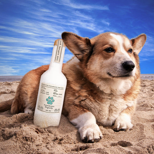 Bark Bros - Liquor Bottle Dog Toy - Plush Squeaky Dog Toys Funny Drink Parody - Alcohol Dog Toy - Dog Birthday Toy - Cute Dog Toys - Puppy Gifts - Puppy Stuff - Dog Stuff (Large, Pupamigos)