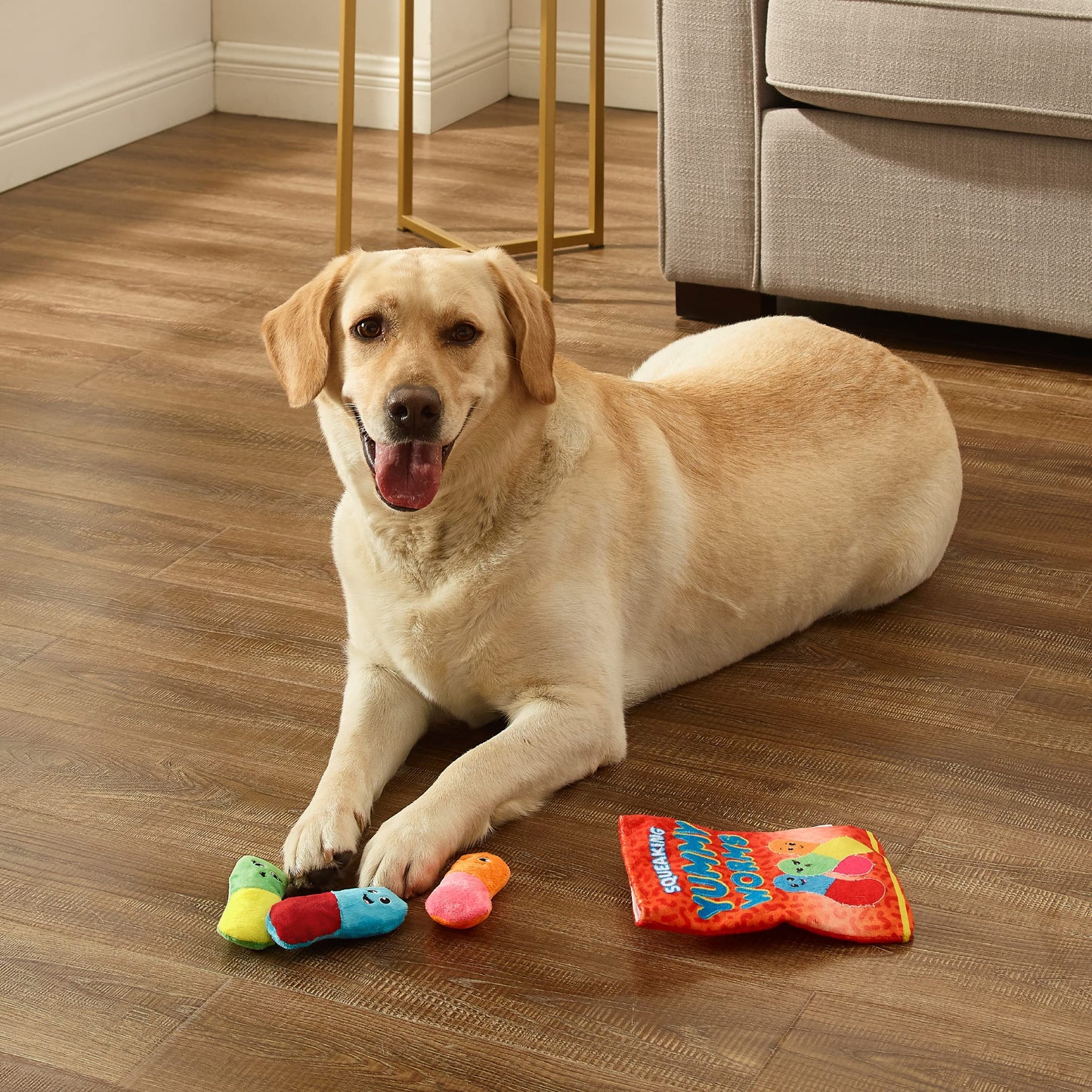 Outward Hound Snack Bag Yummy Worms Puzzle Squeaky Dog Toys