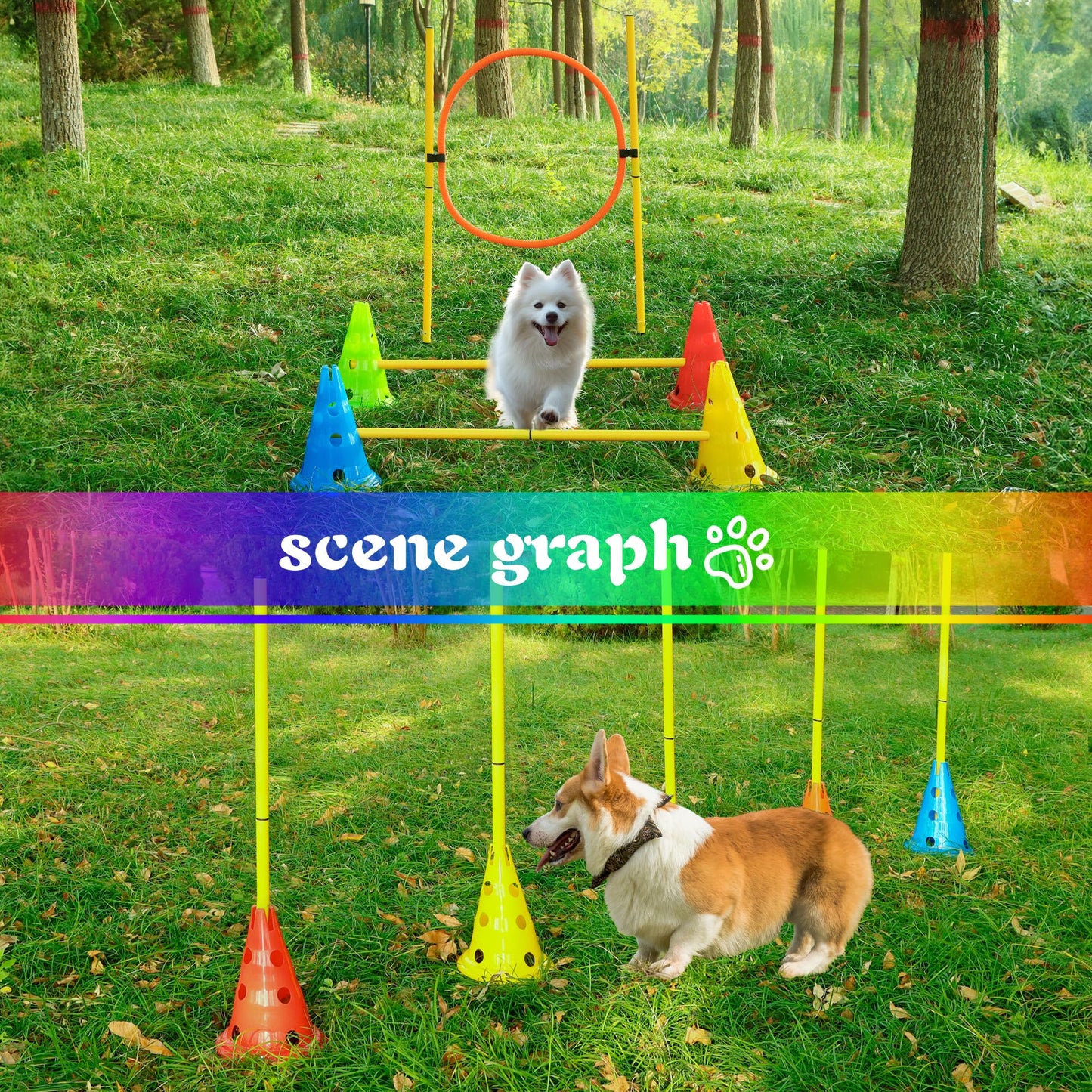 DiDiBirDi 6 Sets Dog Agility Hurdle Cone Set, Adjustable Obstacle Training for Puppy, Pet Crossbar Combo for Beginners for Backyard, 5 Sets x Pole Obstacles,1 Set x Hoop Jump