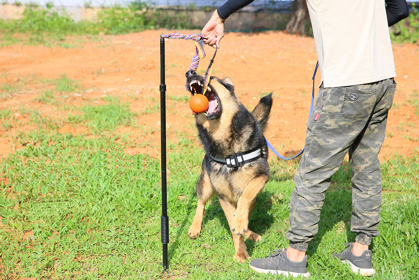 Highland Farms Select Dog Retractable Interactive Training Tug Toy - Pet Obedience Training Tug - Stable Exercise Metal Pole & Spring Rod with Replaceable Chew Rope for Small/Medium Dogs