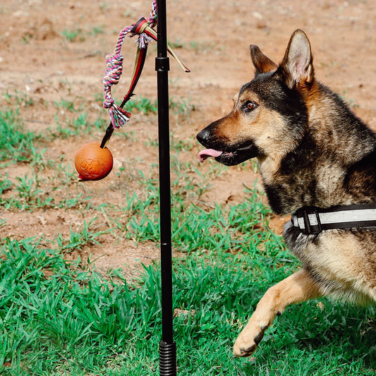 Highland Farms Select Dog Retractable Interactive Training Tug Toy - Pet Obedience Training Tug - Stable Exercise Metal Pole & Spring Rod with Replaceable Chew Rope for Small/Medium Dogs