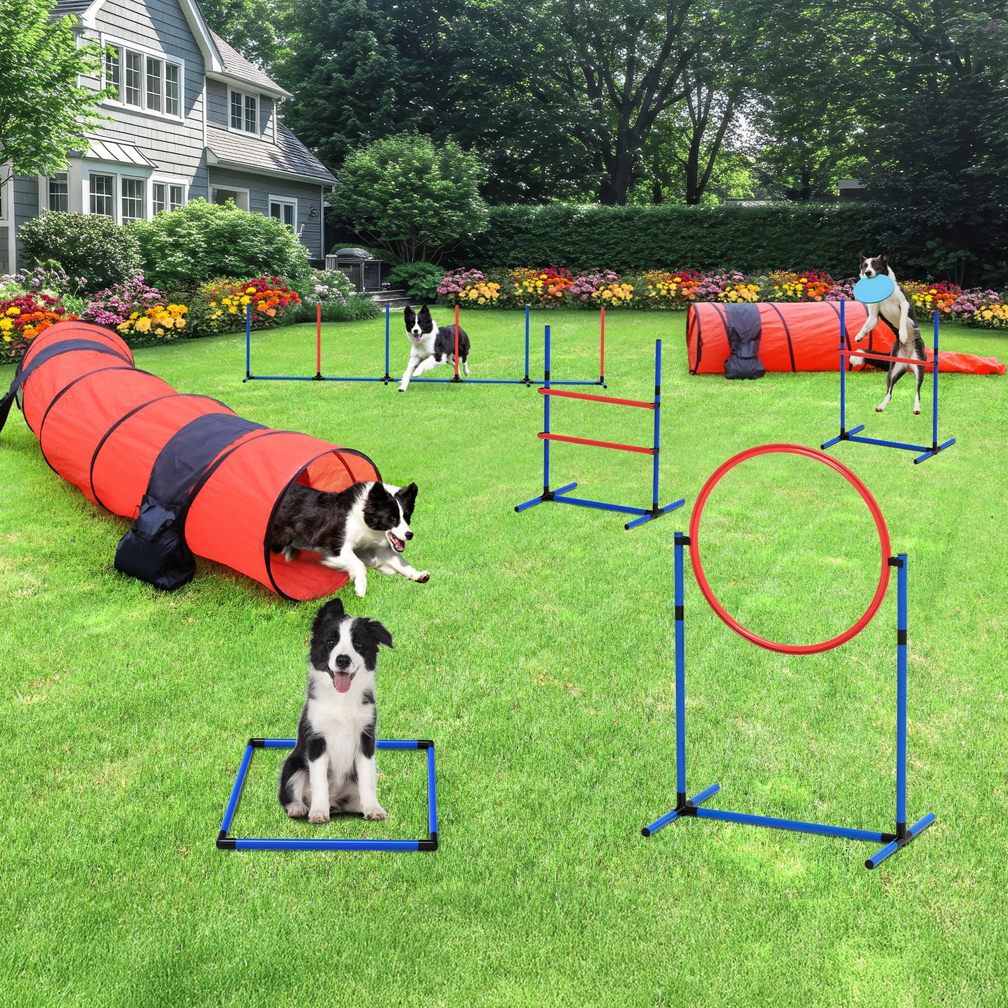 DWVO Dog Agility Accessories Kit: Comprises of a Teaser Pole, 3 Hurdles, 3 Flying Discs, 6 Weaving Poles, 2 Agility Tunnels, Pause Box, Full Set of Agility Equipment for Backyard Indoors Outdoors